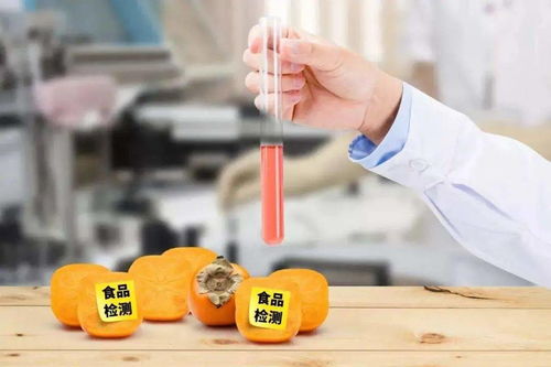 江蘇食品安全專項抽檢結(jié)果公布 合格率高達99.38%，藥品零售領(lǐng)域同步加強監(jiān)管